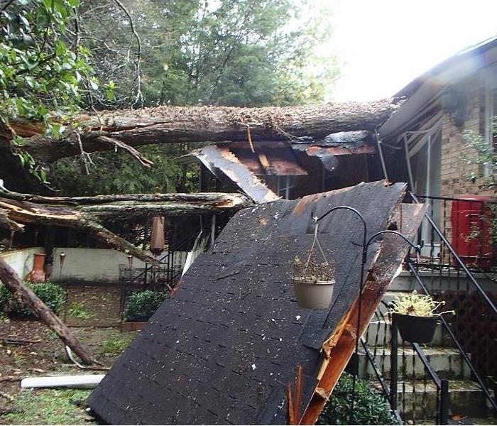 Tree fallen on a home.